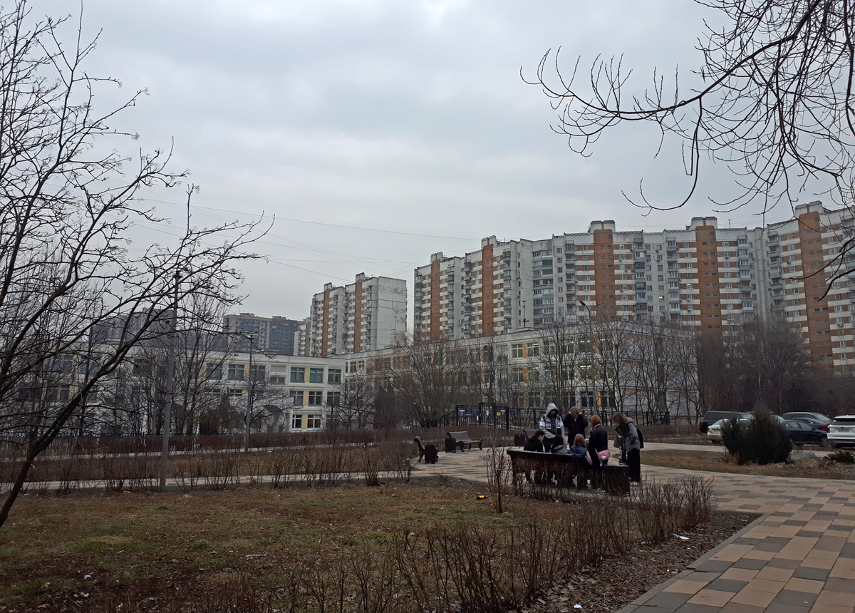 Район Новопеределкино, наши дни