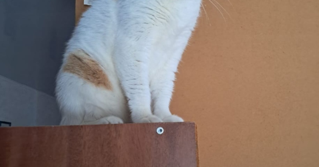 Давненько не выходили мои статьи