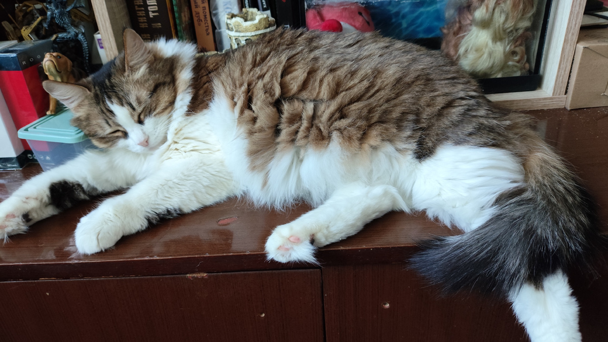 фото автора