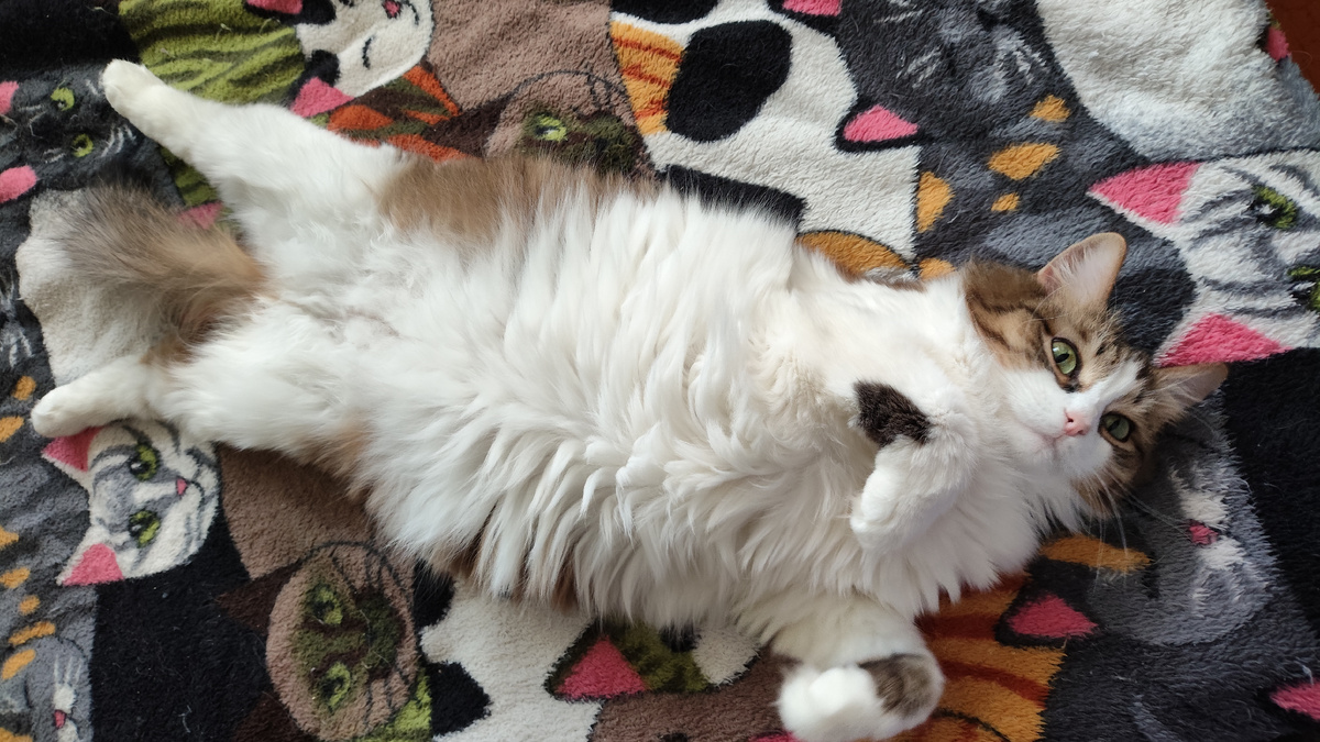 фото автора