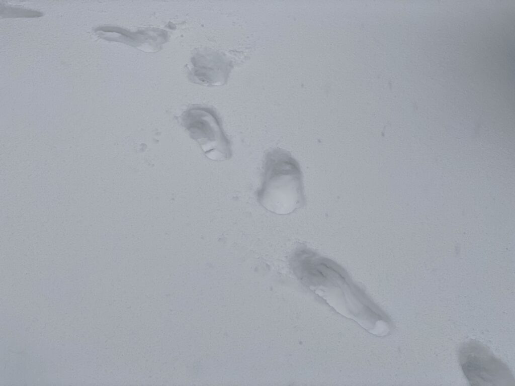    Фото: В курсе.ру Ульяна Бажанова