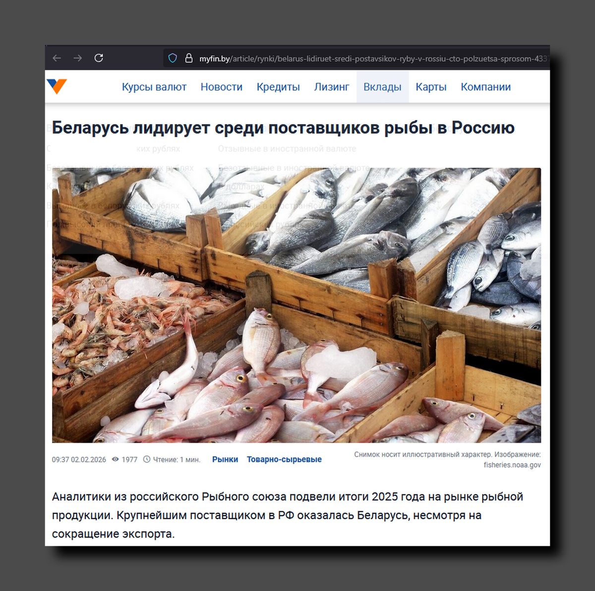 Основу белорусского экспорта составили продукция из сурими (крабовые палочки), пресервы из сельди, икра мойвы, слабосоленая форель, копченая салака и скумбрия, а также пресервы из ракообразных и моллюсков. Скриншот https://myfin.by/article