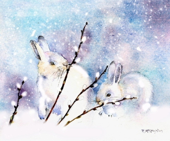 Источник изображения : vk.com›album-31362719_222730265