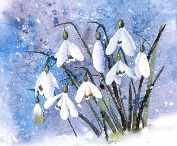 �������� ����������� : vk.com�album-31362719_222730265