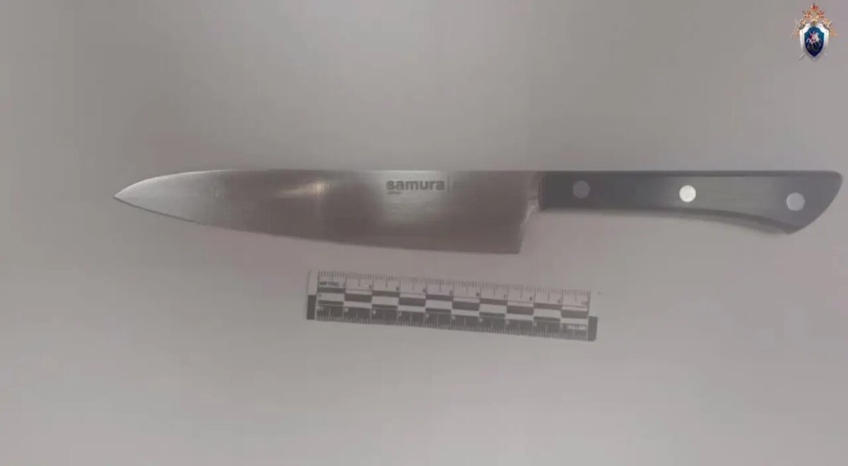    Фото: скриншот из видео пресс-службы ГСУ СК России по Красноярскому краю и Хакасии.