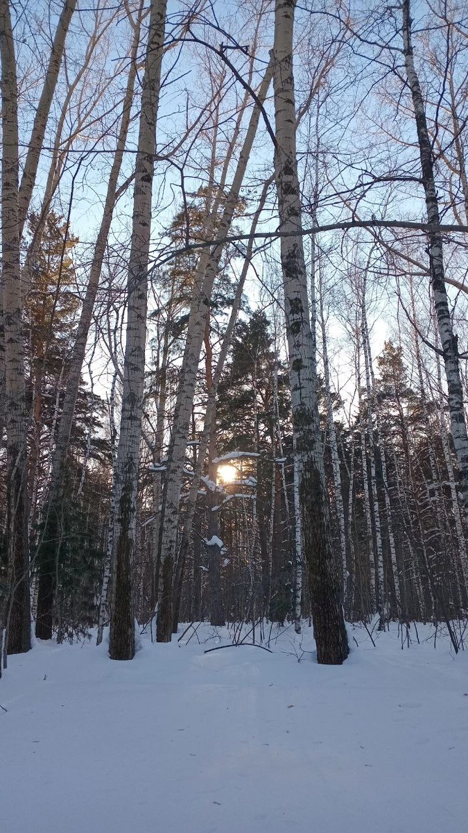 Провожая зимнее солнце