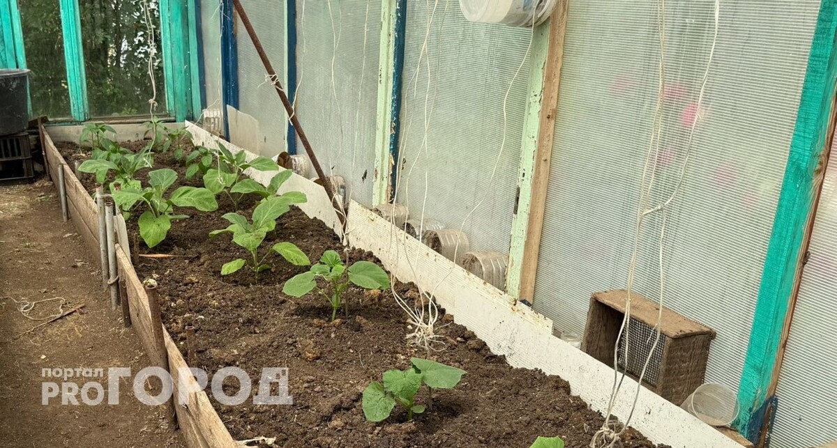    Из архива "Про Город"