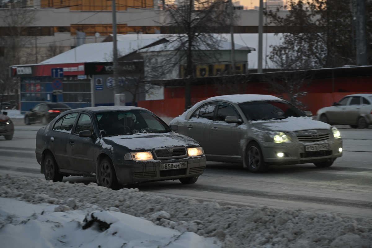    Фото: Анастасия Сибирякова