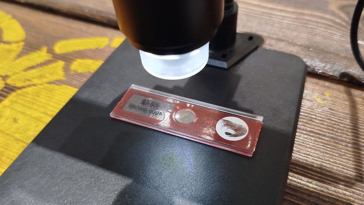    Фото: телеканал «Краснодар»