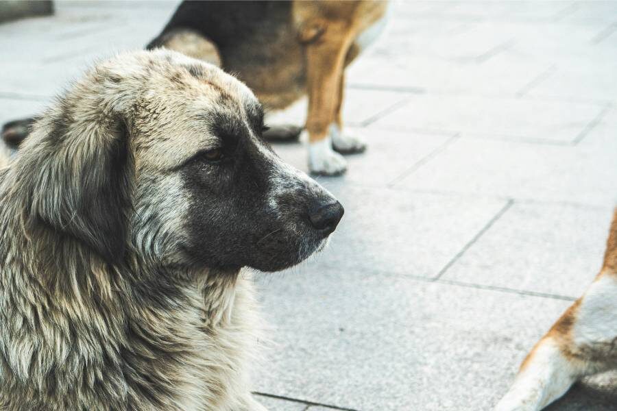 Фото: Tonia Kraakman / Unsplash.com