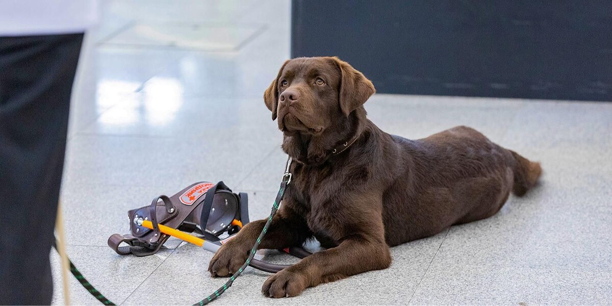 📸 1.1: пресс-служба Московского метрополитена