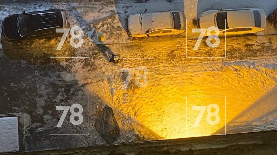    Фото: соцсети