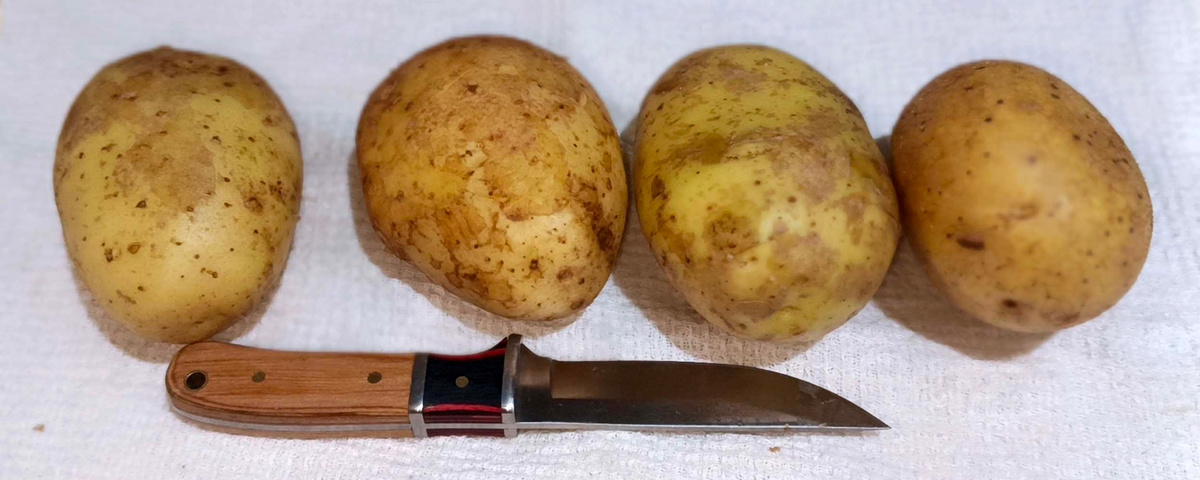 Хорошо помойте картофель, проколите кожуру в нескольких местах.