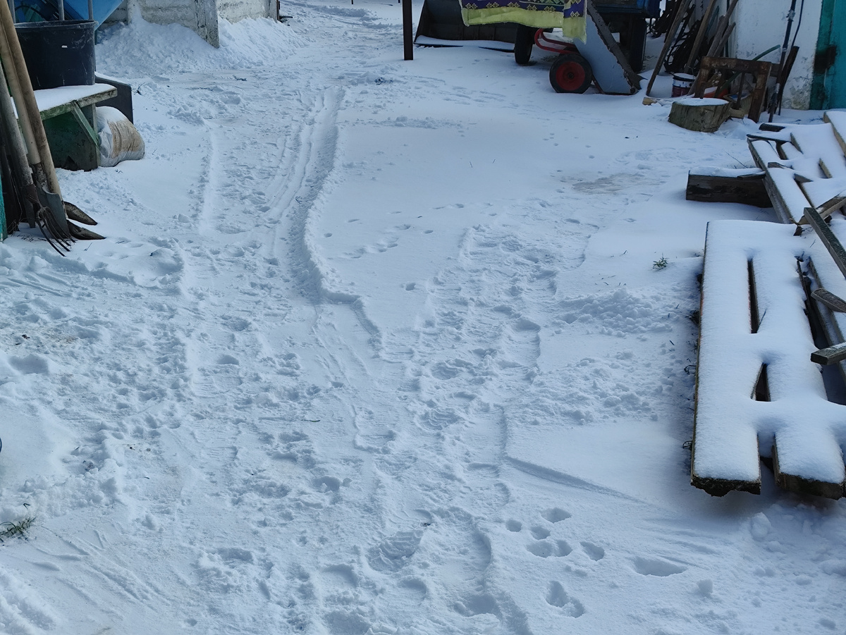 Но муж все же решил дорожки почистить.