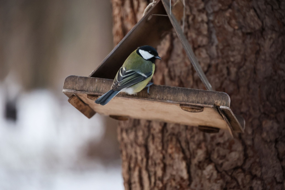    Алексей Белкин/NEWS.ru