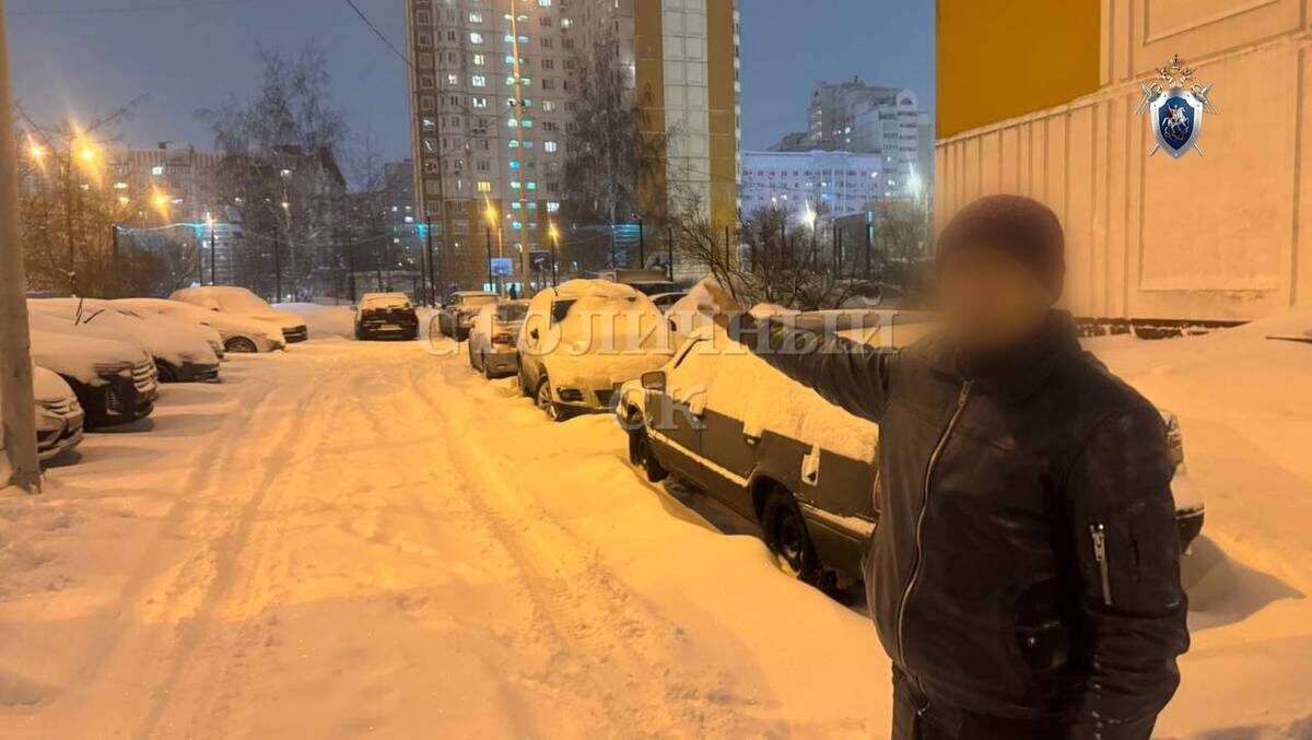    Фото: пресс-служба Следственного комитета России по Москве / Telegram
