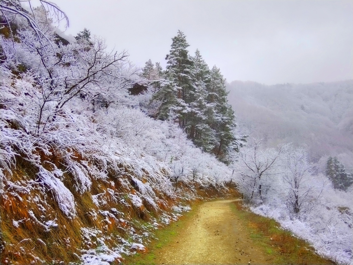 Кисловодск, тропа Косыгина, 5 марта