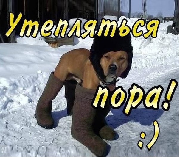 Ещё бы одеть его так!