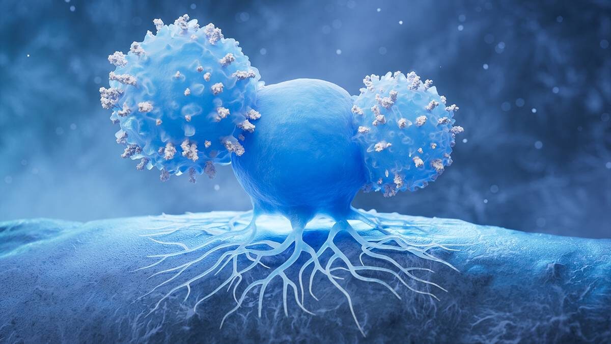    Фото: Shutterstock