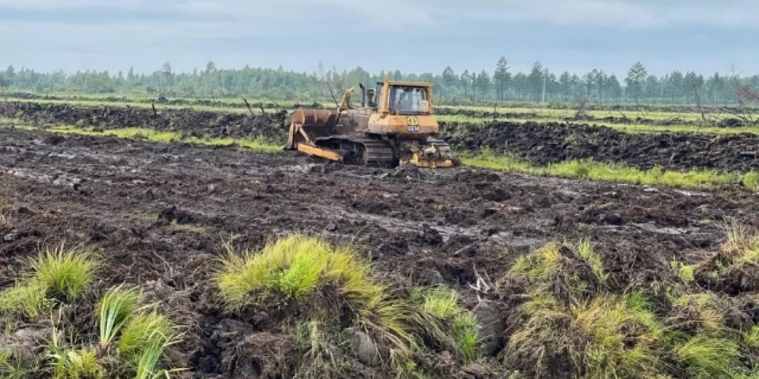 Чья земля? Какие изменения ждут владельцев земельных участков