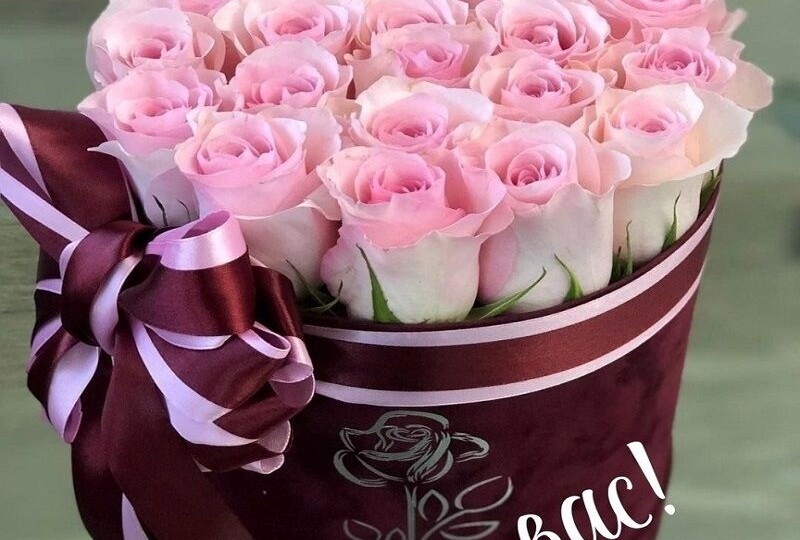 Друзьям по поводу выхода новых глав.