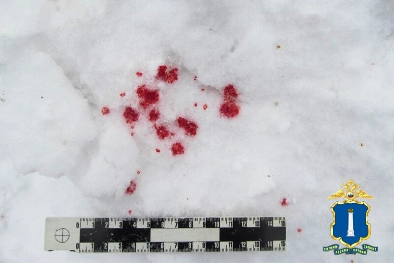    Фото: УМВД по Ульяновской области