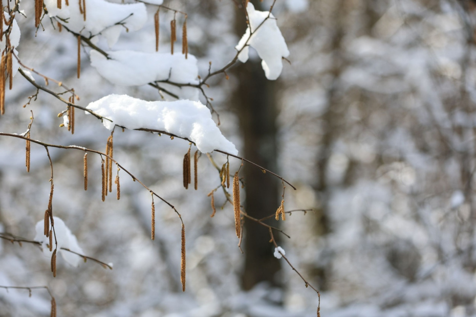    Наталья Шатохина/NEWS.ru