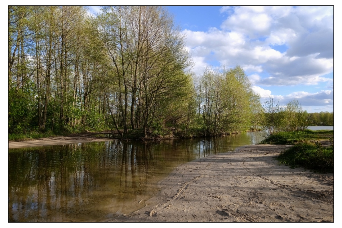 Место, где р."Сумка" впадает в Ильинское озеро. Весна 2025 года