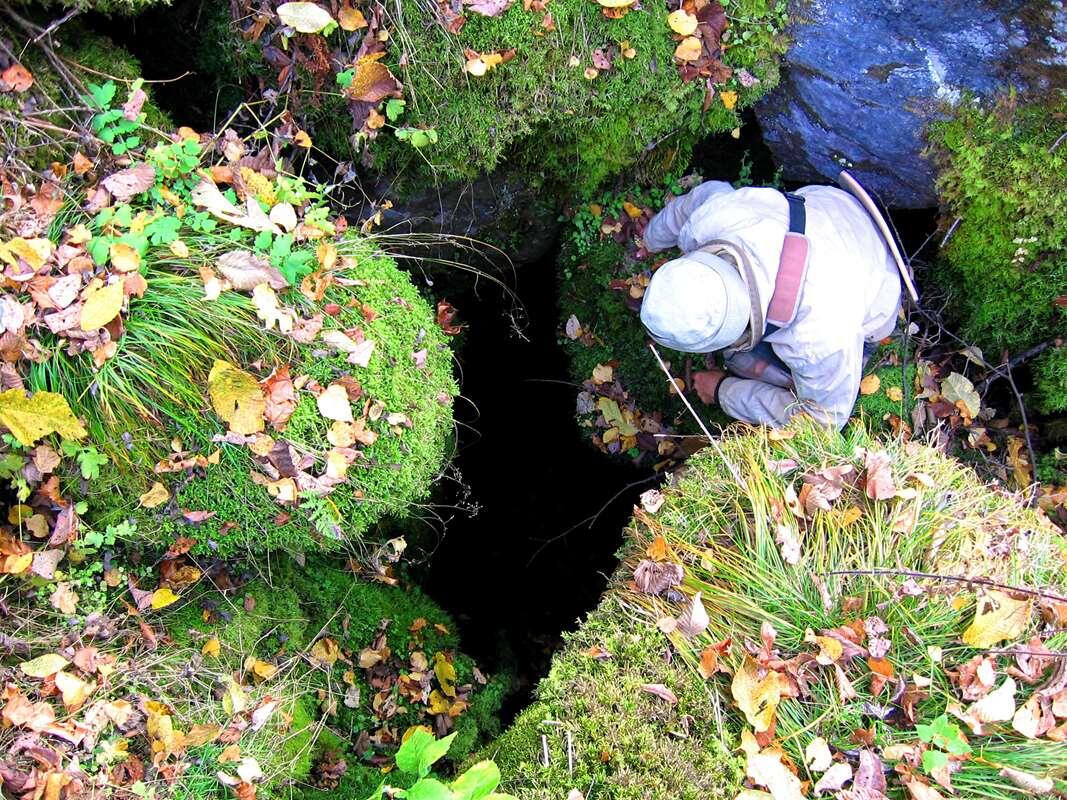    Бришский провал stalker