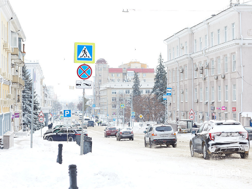     Фото: Елена Журавлёва (архив)