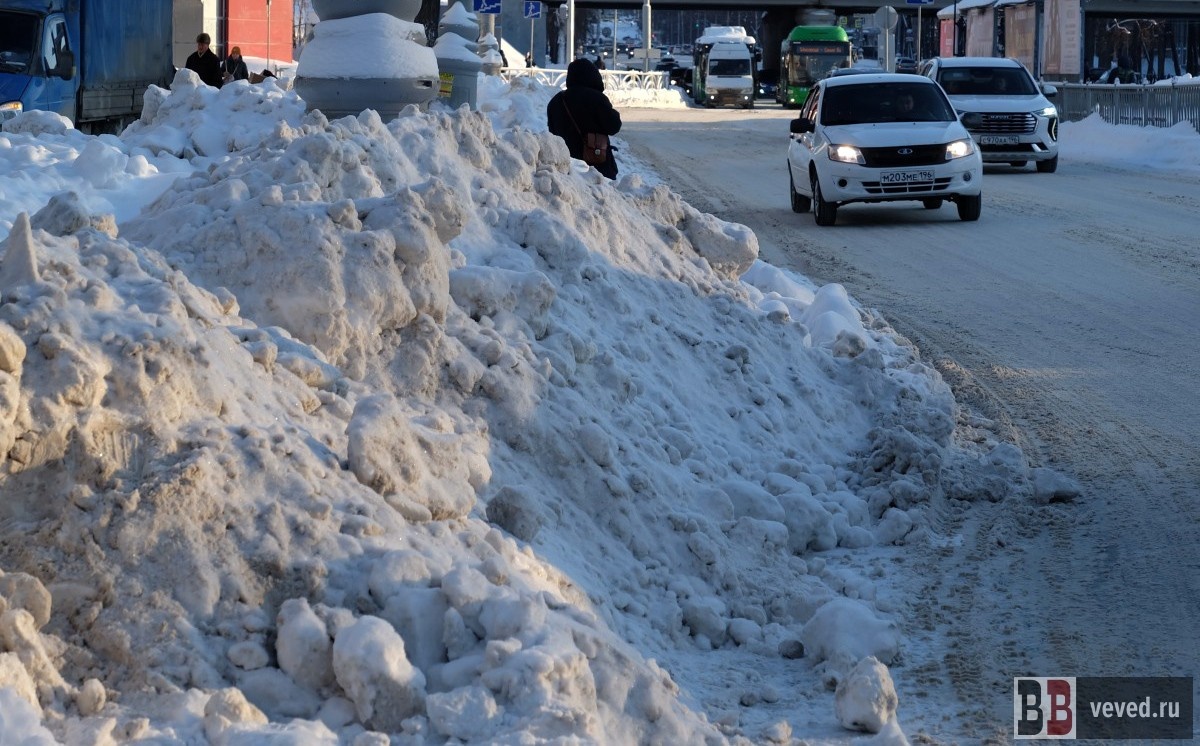     Фото: Владислав Постников / Вечерние Ведомости