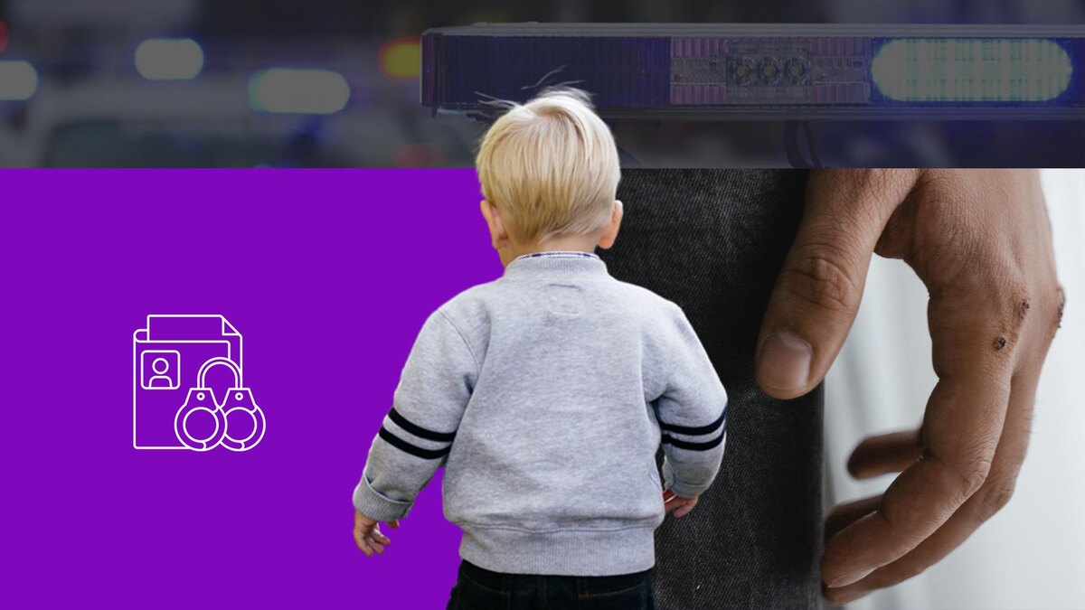 Коллаж 78.ru: freepik.com/bristekjegor, pexels.com, pxhere.com, flaticon.com/bsd