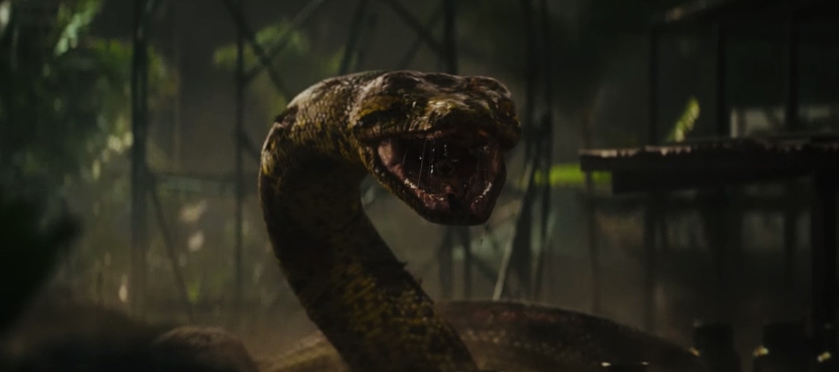 Кадр из фильма