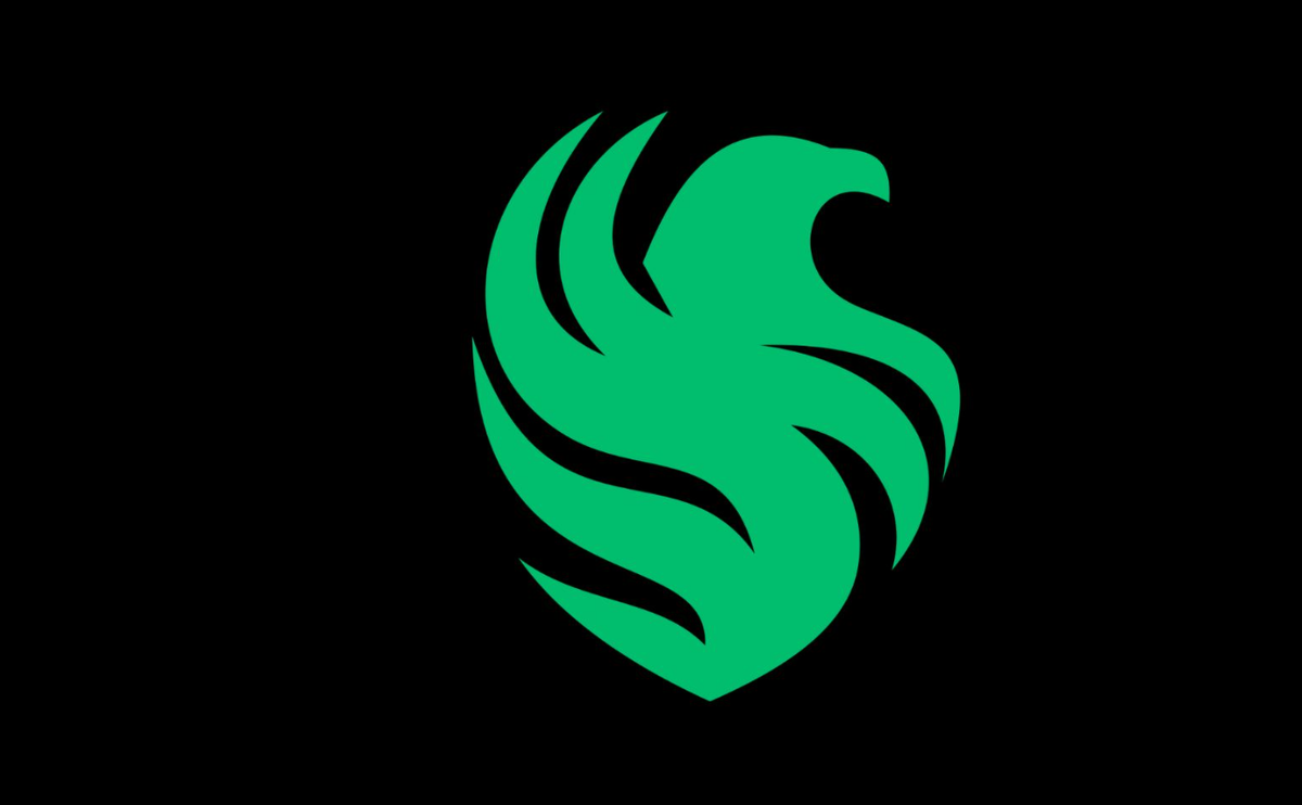 Источник: официальный сайт Team Falcons