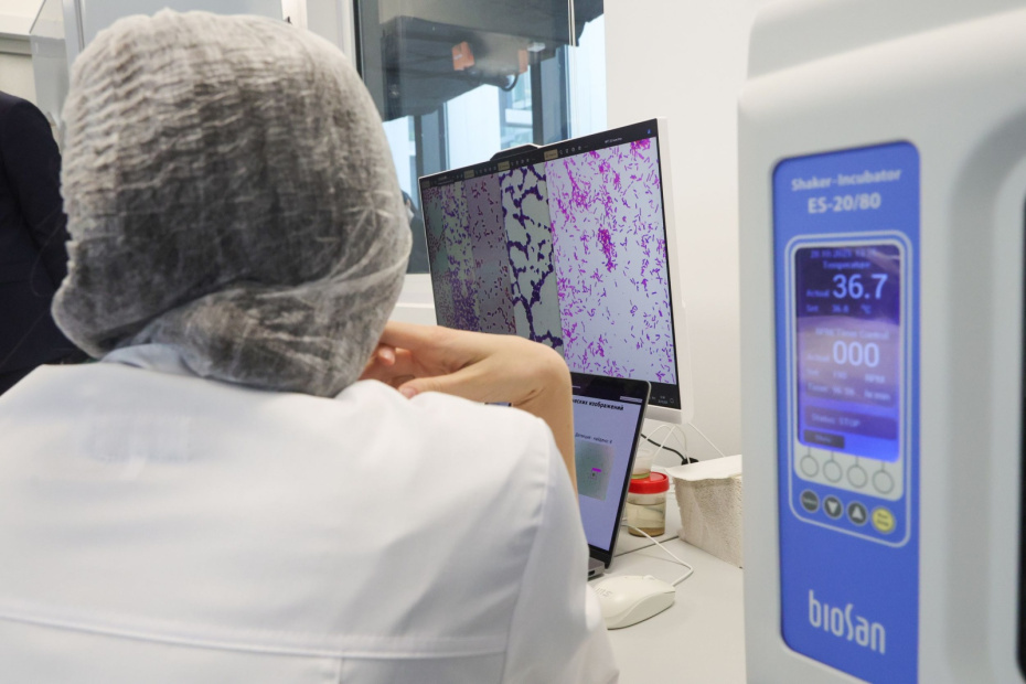    Наталья Шатохина/NEWS.ru