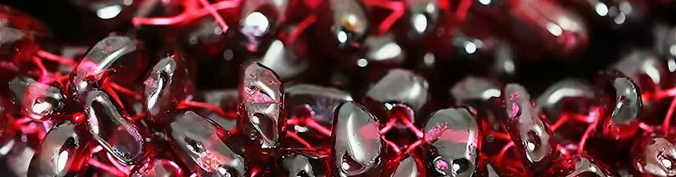 Для контактов: angelica.keiner@yandex.ru или floransia@yandex.ru