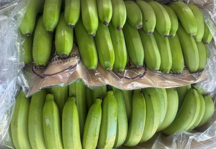    Фото: Северо-Западное межрегиональное управление Россельхознадзора