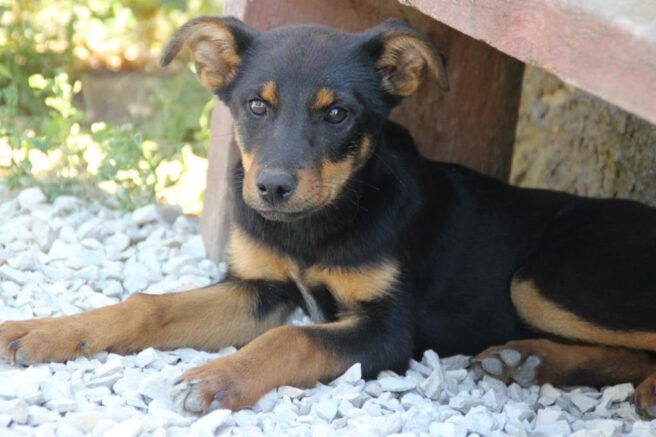    Фото: Югополис