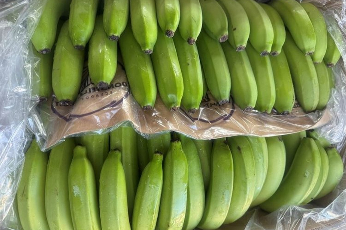    Фото: Северо-Западное межрегиональное управление Россельхознадзора