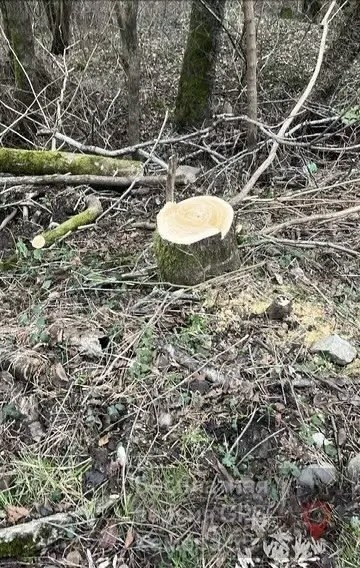 Источник: ИА ParkInfo