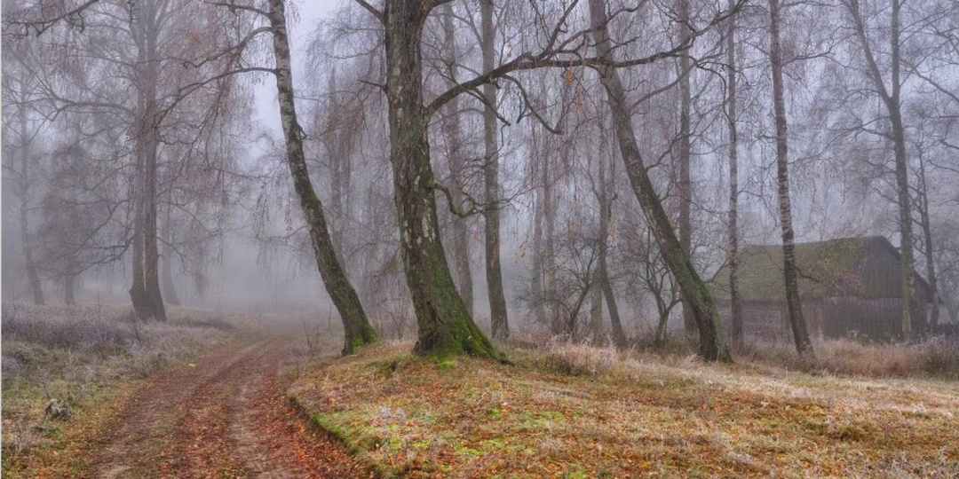 Дорогой изгоев. Глава 19