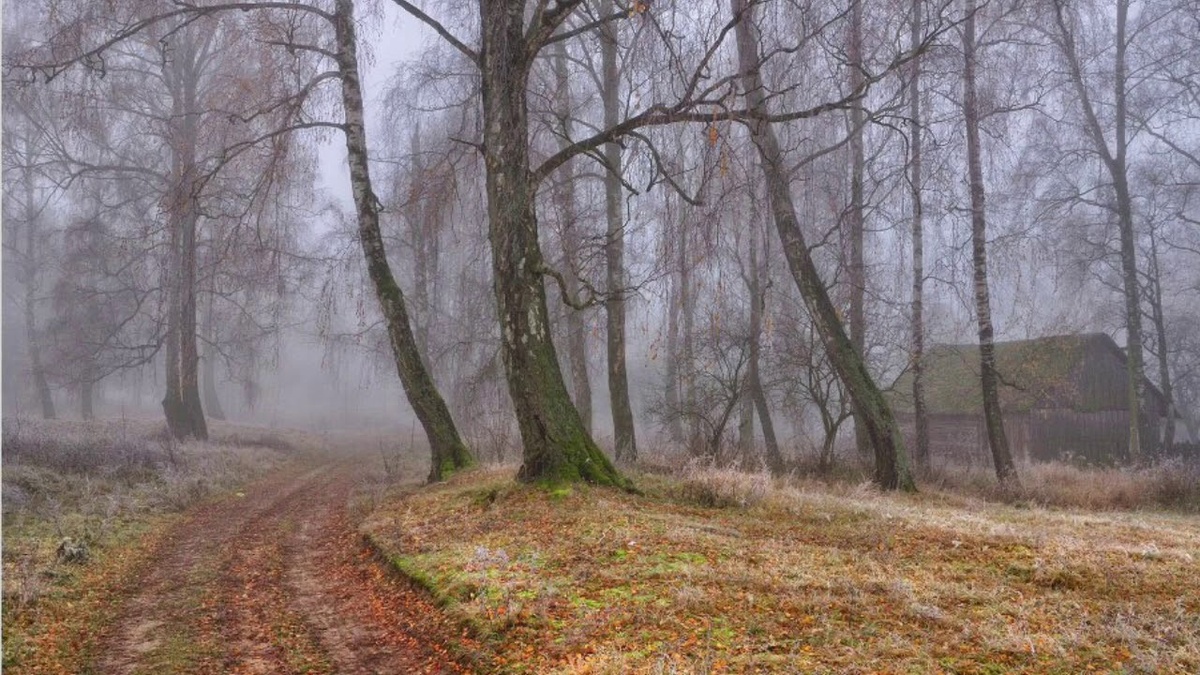 фото из интернета