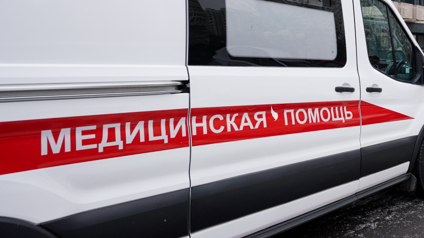    Фото: ИЗВЕСТИЯ/Анна Селина; 5-tv.ru