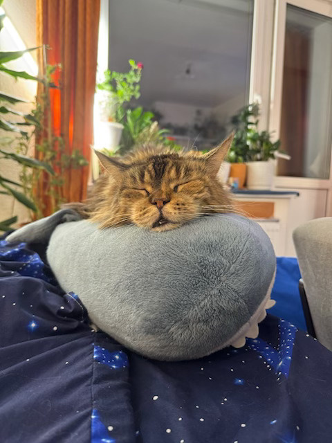 Дольче Вита - моя красавица