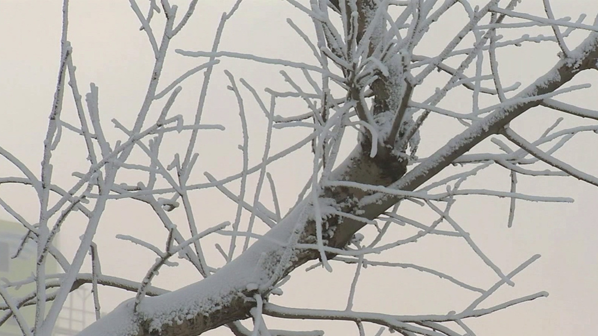    Первый канал