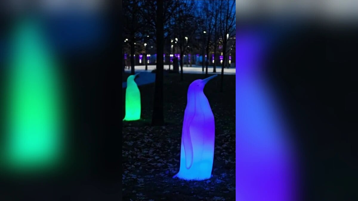    Фото t.me/parkkrd