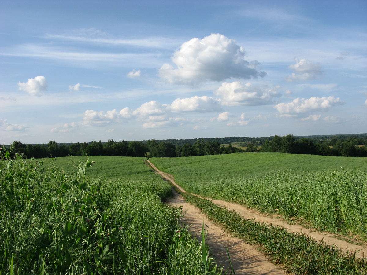Фото Лидии Бам