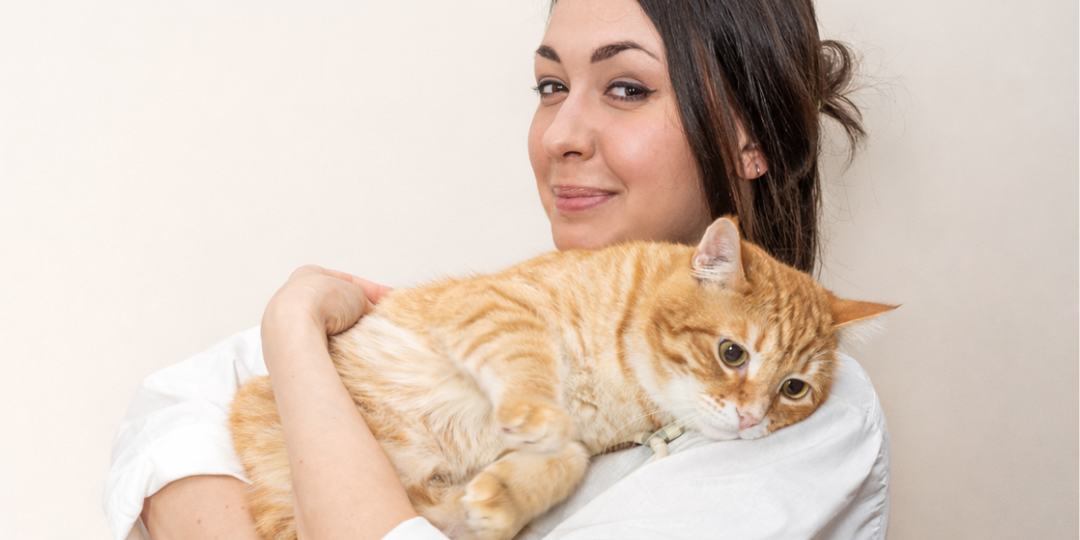 5 принципов благополучия кошек: как ветеринары используют их на практике