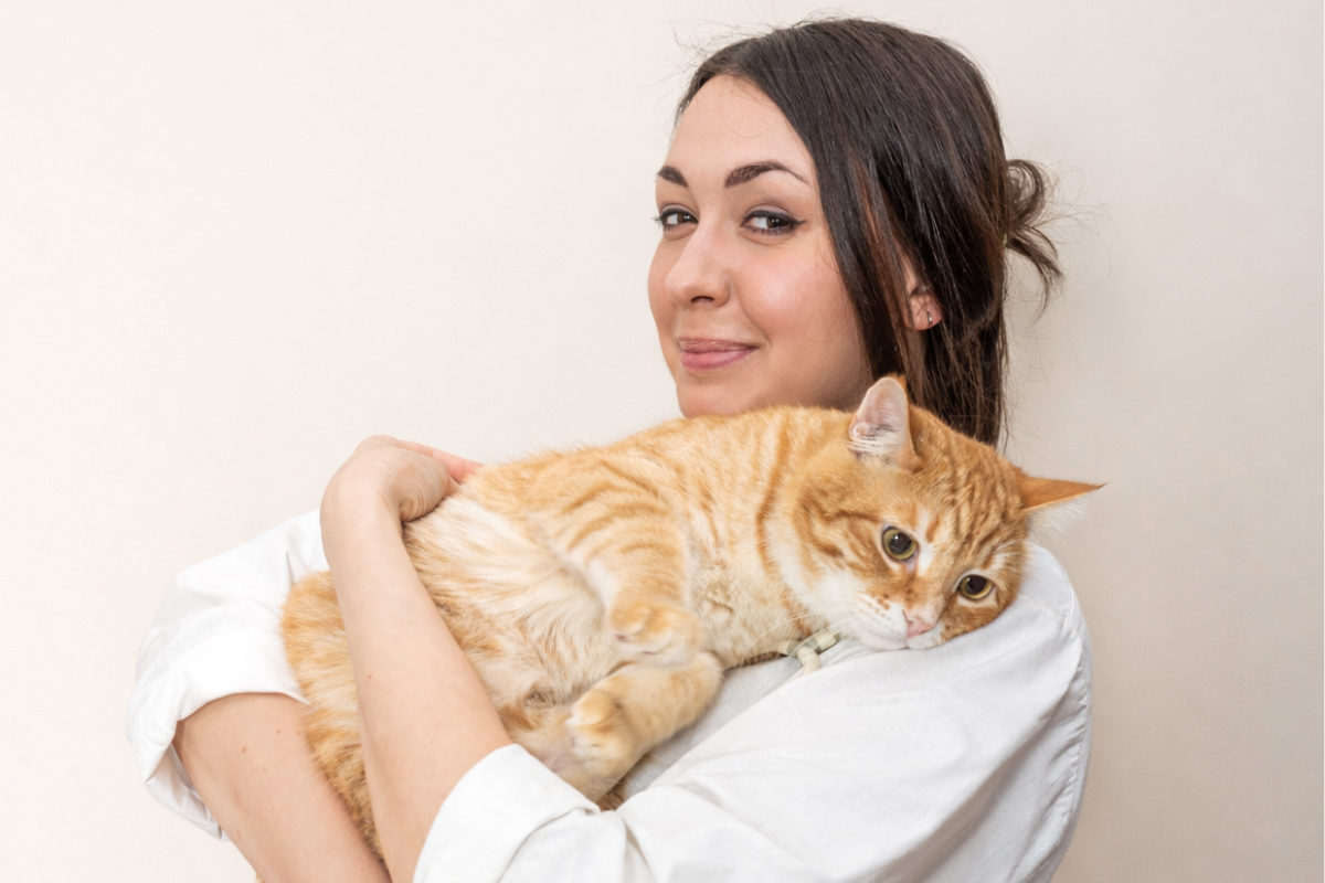 Кот с ветеринаром 