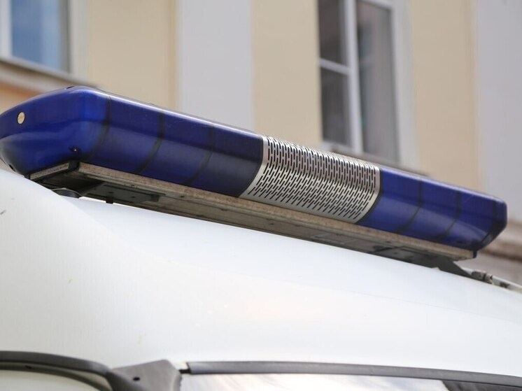     Фото: МК в Сочи